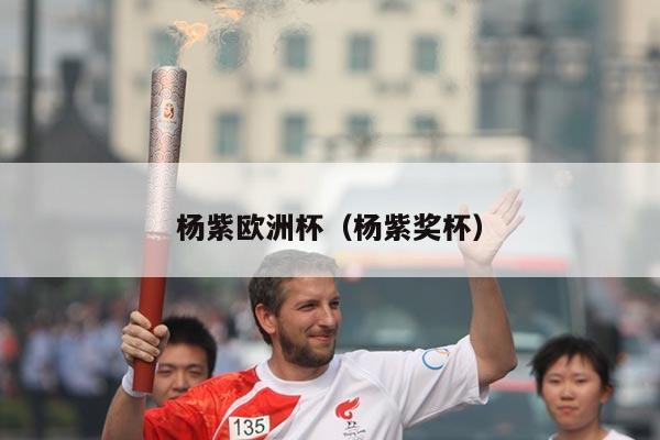 杨紫欧洲杯（杨紫奖杯）